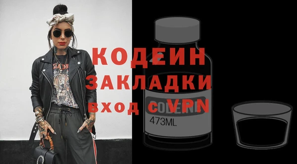 стаф Бородино
