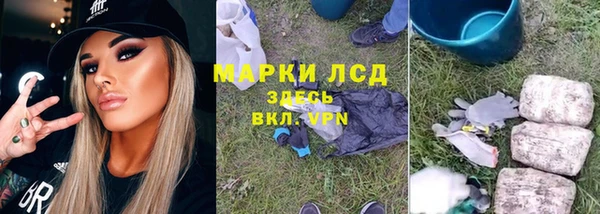 винт Вяземский