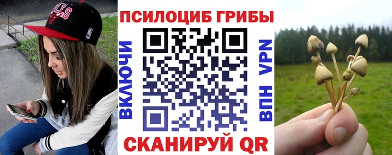 купить наркотик  Добрянка  Галлюциногенные грибы мицелий 